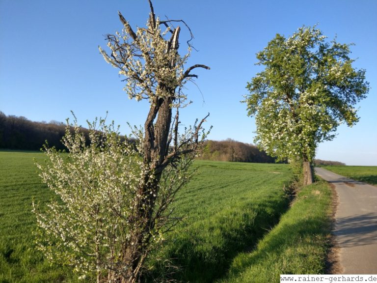 Landschaft an Ostern