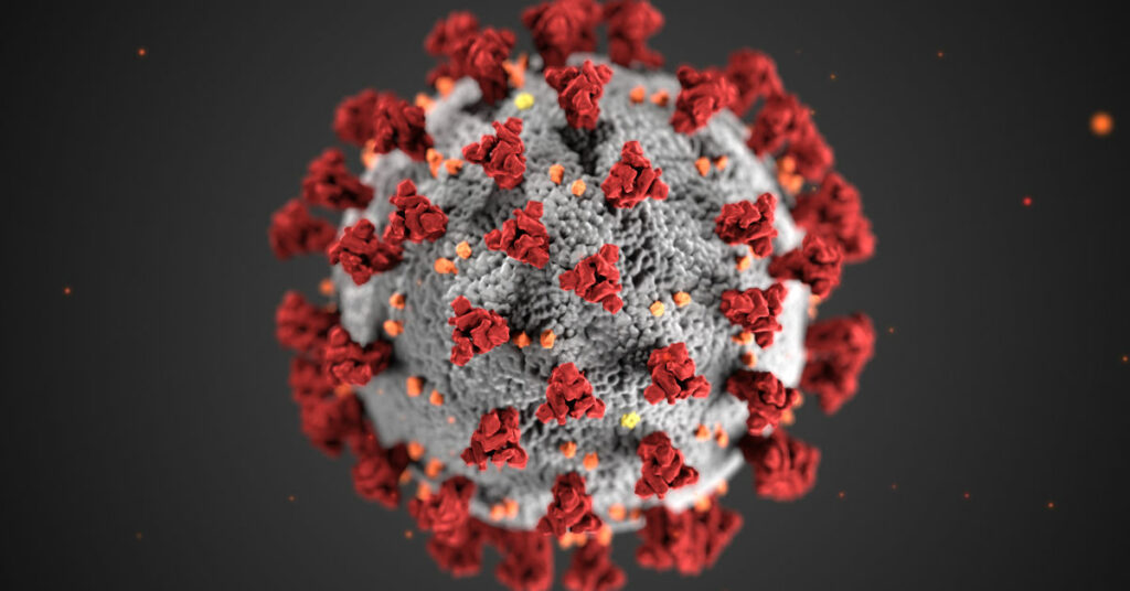 Coronavirus SARS-CoV-2