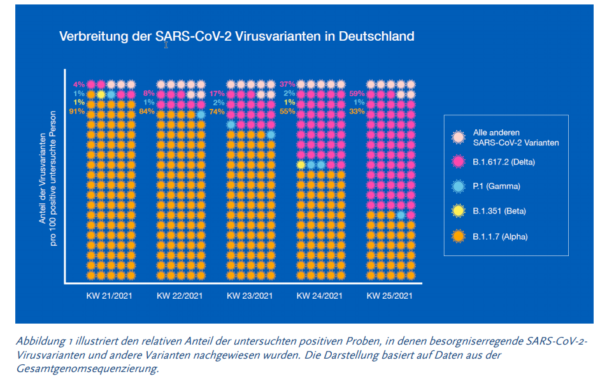 Verbreitung von Virusvarianten in Deutschland.