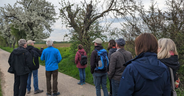 Teilnehmende bei einer naturkundlichen Wanderung des NABU Großrinderfeld.