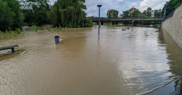 Bild des Tauber-Hochwassers bei Tauberbischofsheim am 2. Juni 2024.