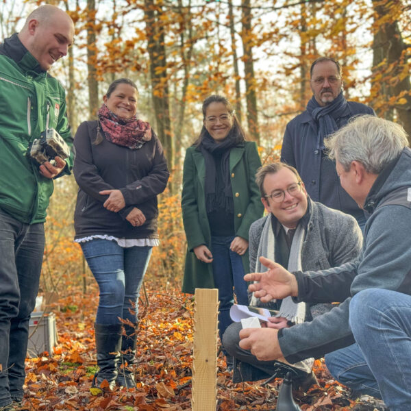 Fünf Erwachsene in einem Wald, die sich um einen Holzpfahl für die Wildkatzenerfassung versammeln und unterhalten; eine Person hält eine Kamera.