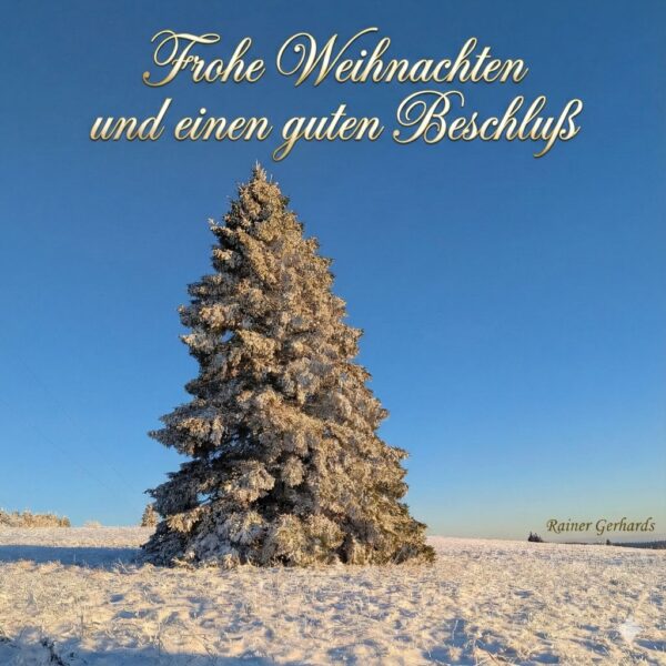 Verschneiter einzelner Tannenbaum in winterlicher Landschaft unter klarem blauem Himmel, mit Weihnachtsgruß.